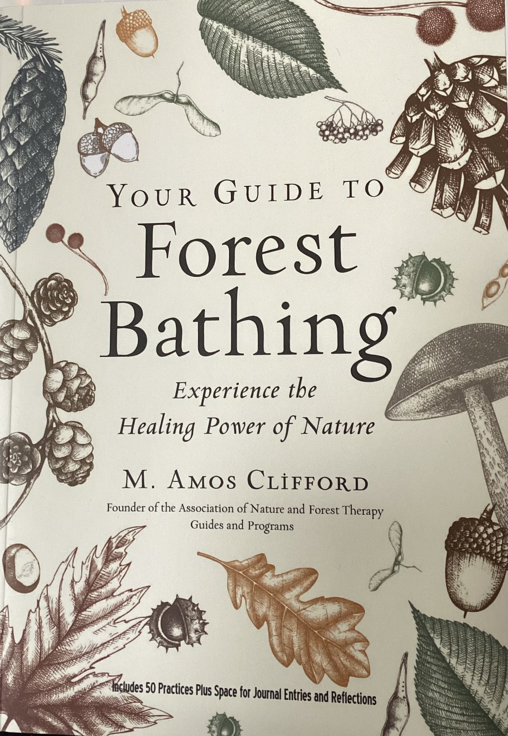 Your Guide To Forest Bathing: Experience the Healing Power of Nature